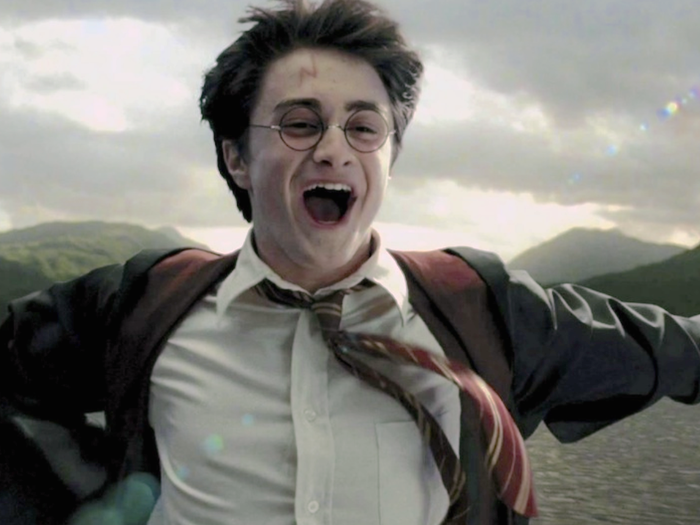 Harry Potter House